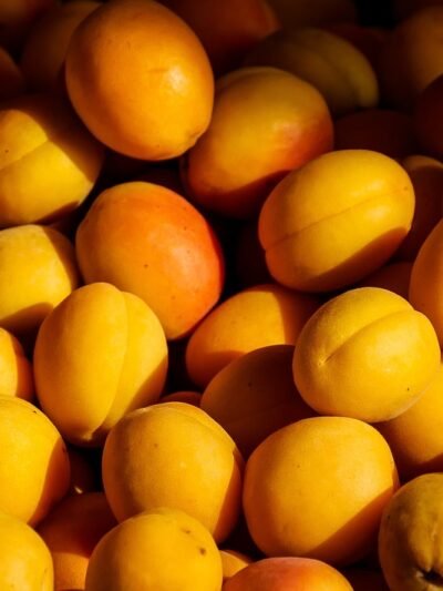 Apricot (Khubani)