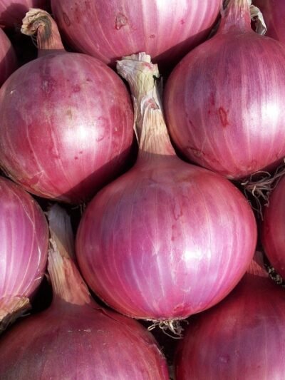 Onions (Pyaaz)